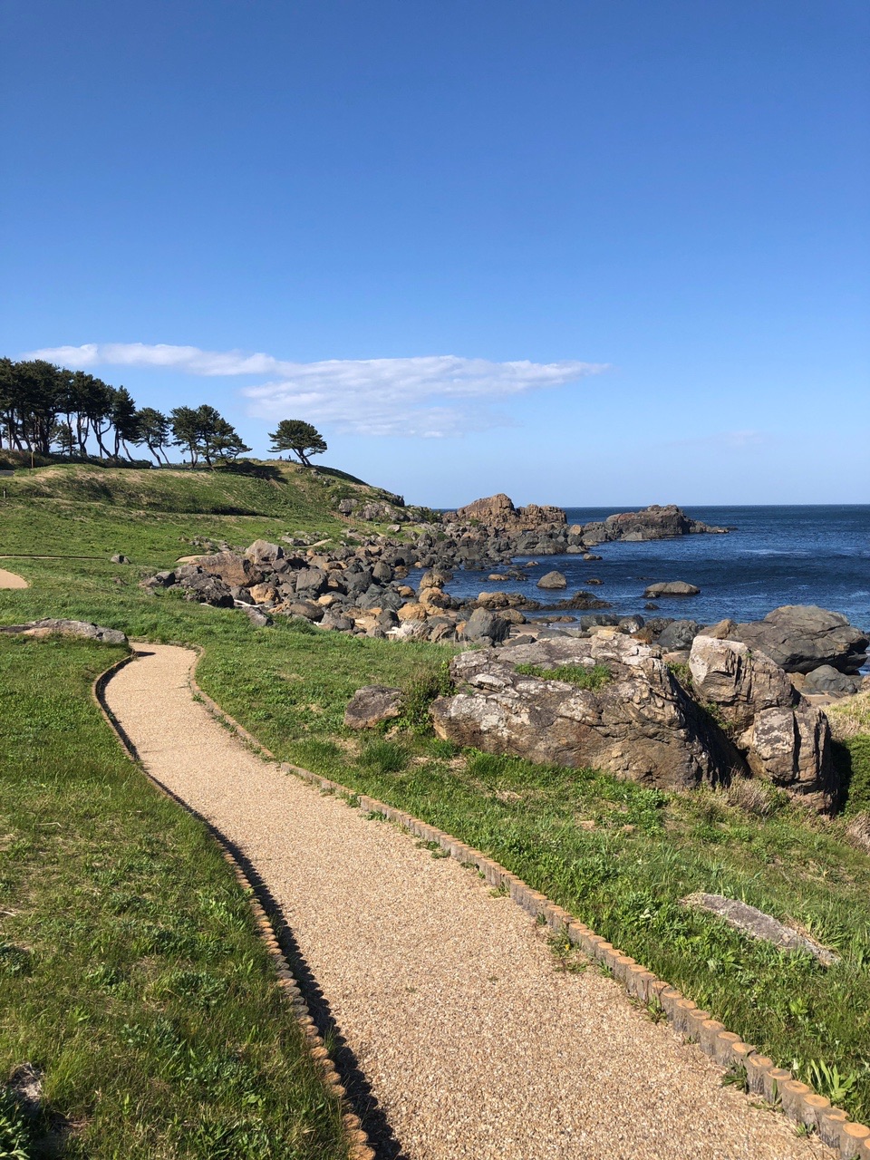 みちのく潮風トレイルランニング 八戸市種差海岸 葦毛崎 Fisherマンさんのランニングの活動データ Yamap ヤマップ