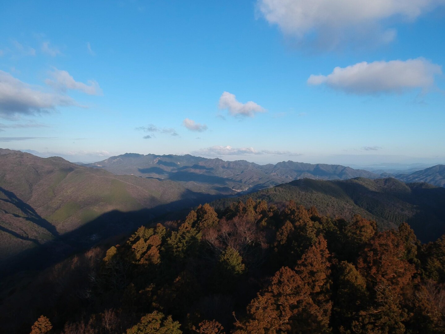 ふるさと富士 城王山 / ジュッピーさんの城王山の活動データ YAMAP / ヤマップ
