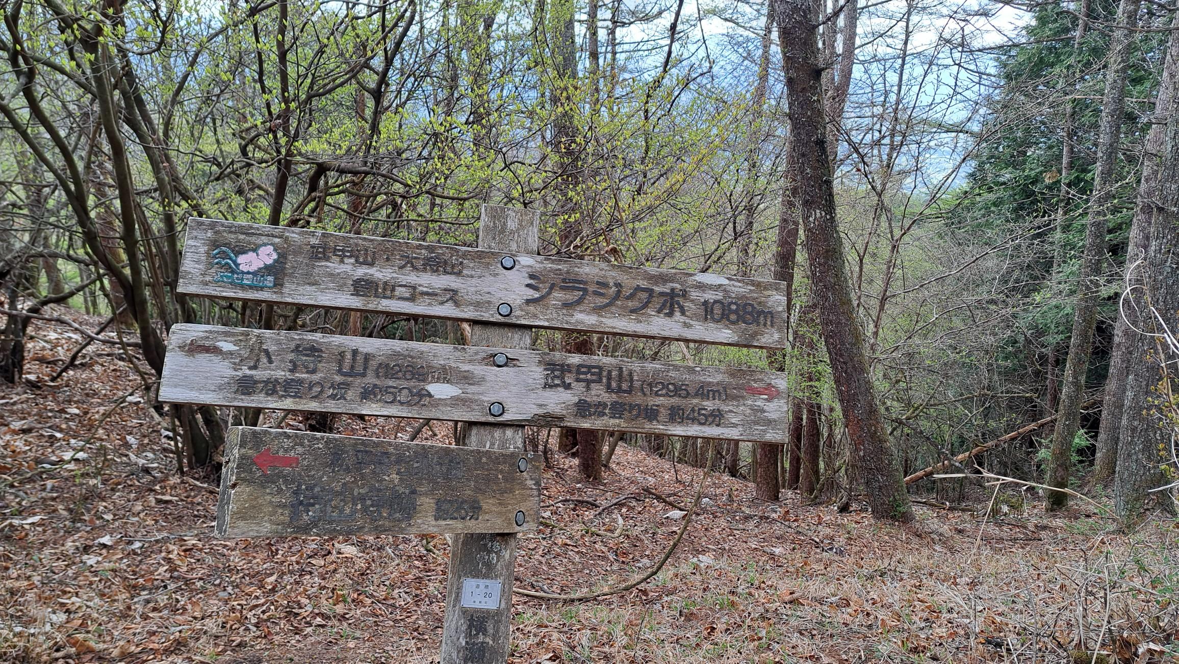 武甲山・伊豆ヶ岳・小持山 帰りはひたすら下りです