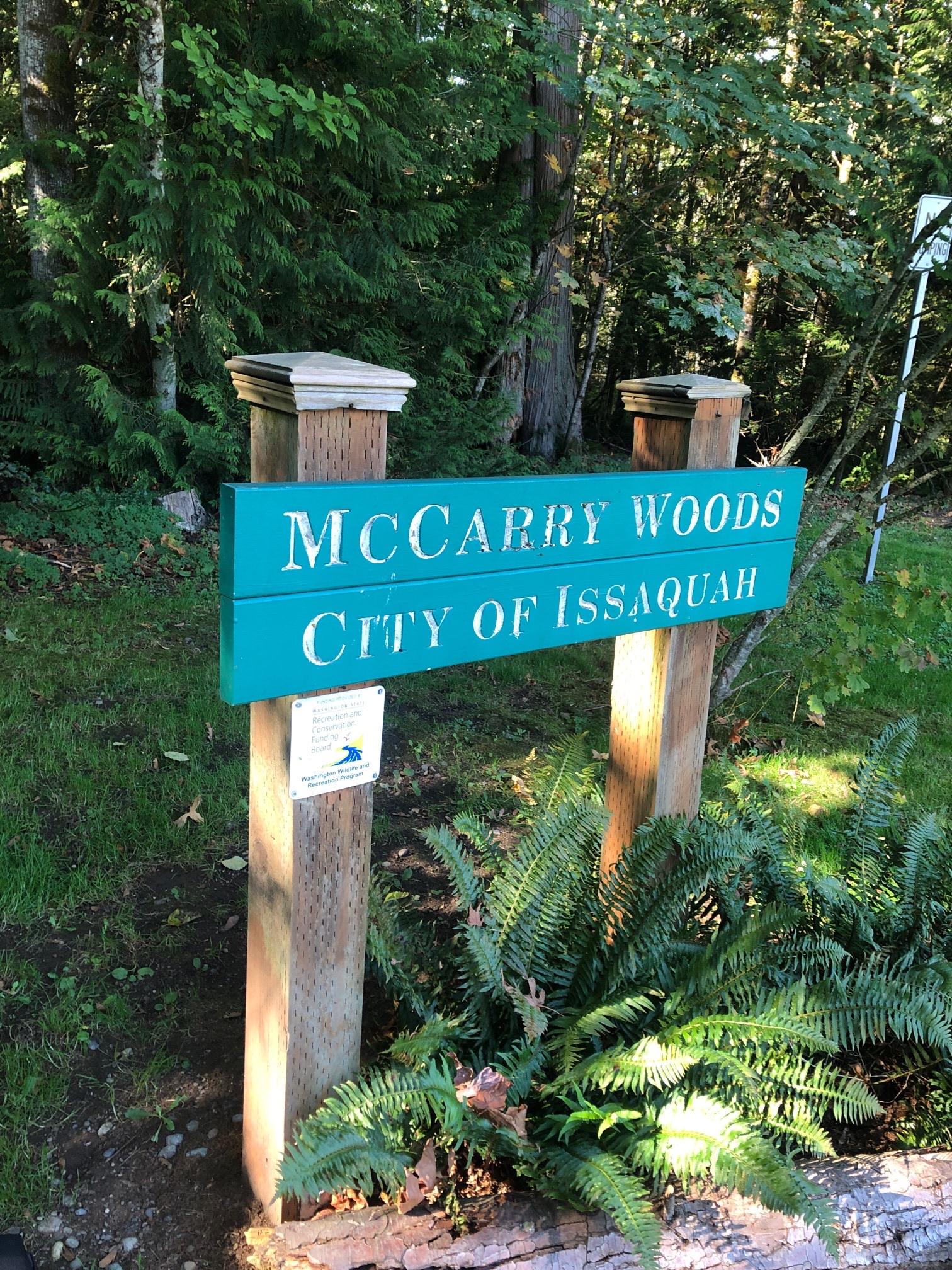 squak-mountain-617m-issaquah-wa-yamap