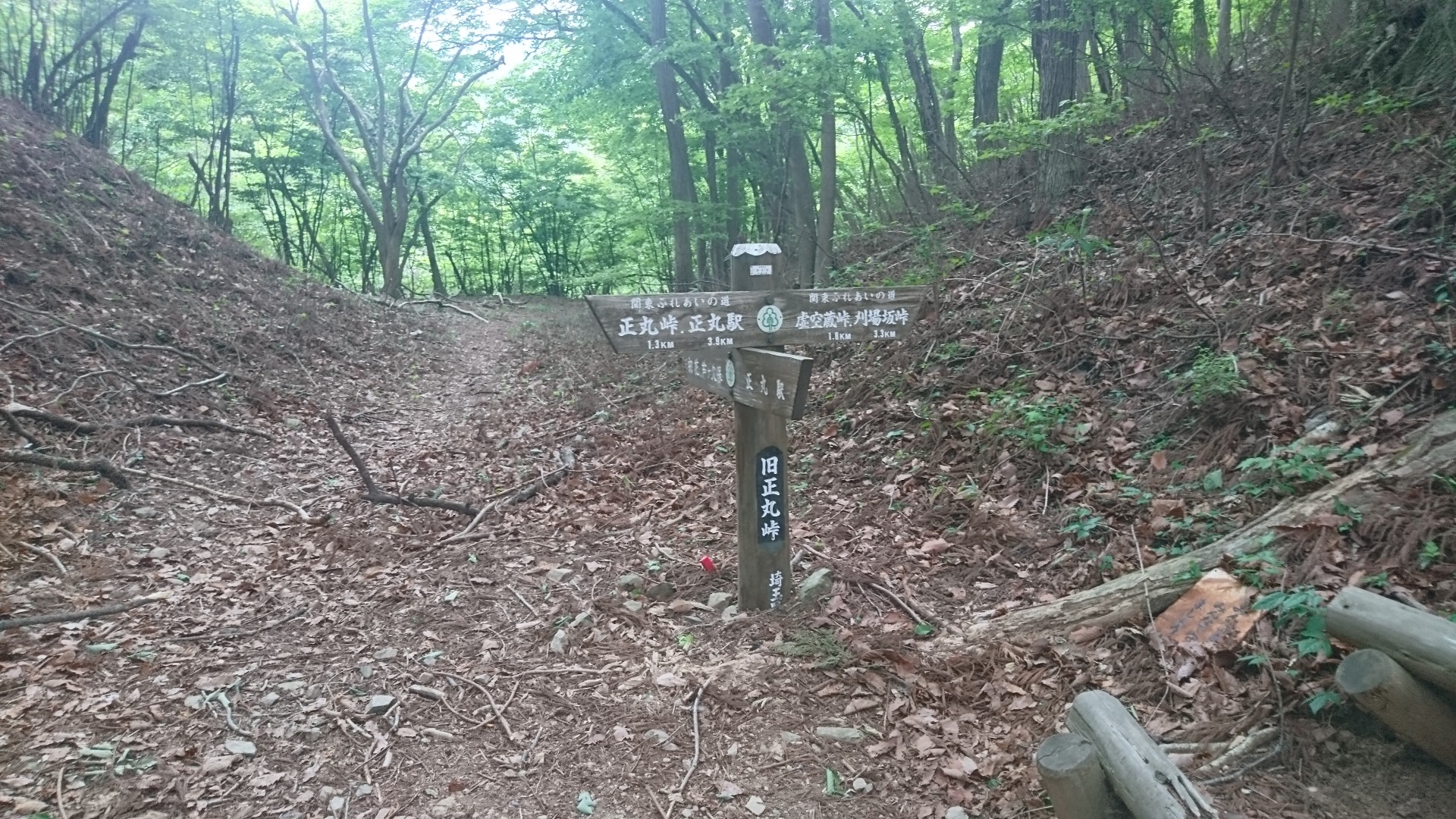 旧正丸峠 サムセブンさんの武甲山 伊豆ヶ岳 小持山の活動データ Yamap ヤマップ