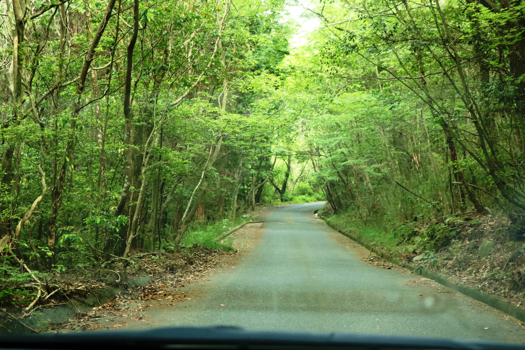 色んな事件を持つ忌まわしい山であり、林道がかなり不気味。夜など暗い中は通りたくない😨