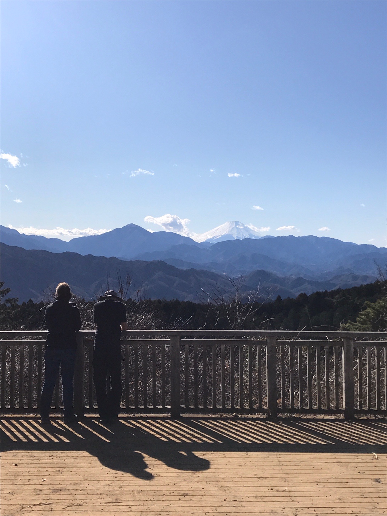 南高尾から城山 高尾山へ周回 Fumyさんの高尾山 陣馬山 景信山の活動データ Yamap ヤマップ