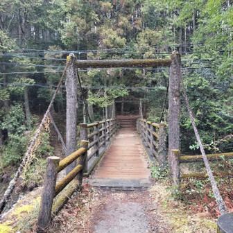 熊野古道 小辺路 吊り橋😻