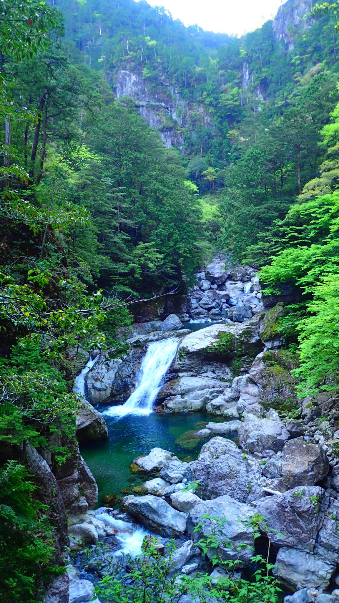 大杉谷の桃の木山の家から大台ヶ原へ こんさんの大台ヶ原山 日出ヶ岳 大杉谷の活動データ Yamap ヤマップ