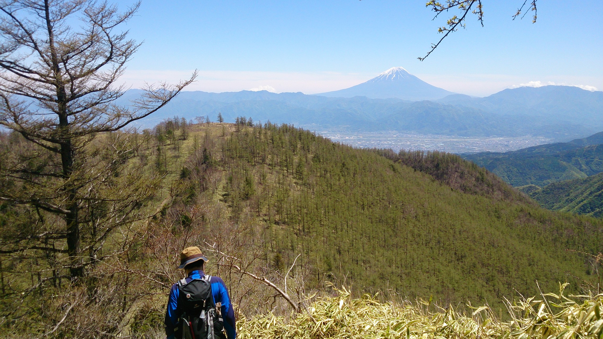 北斎かっ 甘利山 千頭星山 Smokeさんの北岳 間ノ岳 農鳥岳の活動日記 Yamap ヤマップ