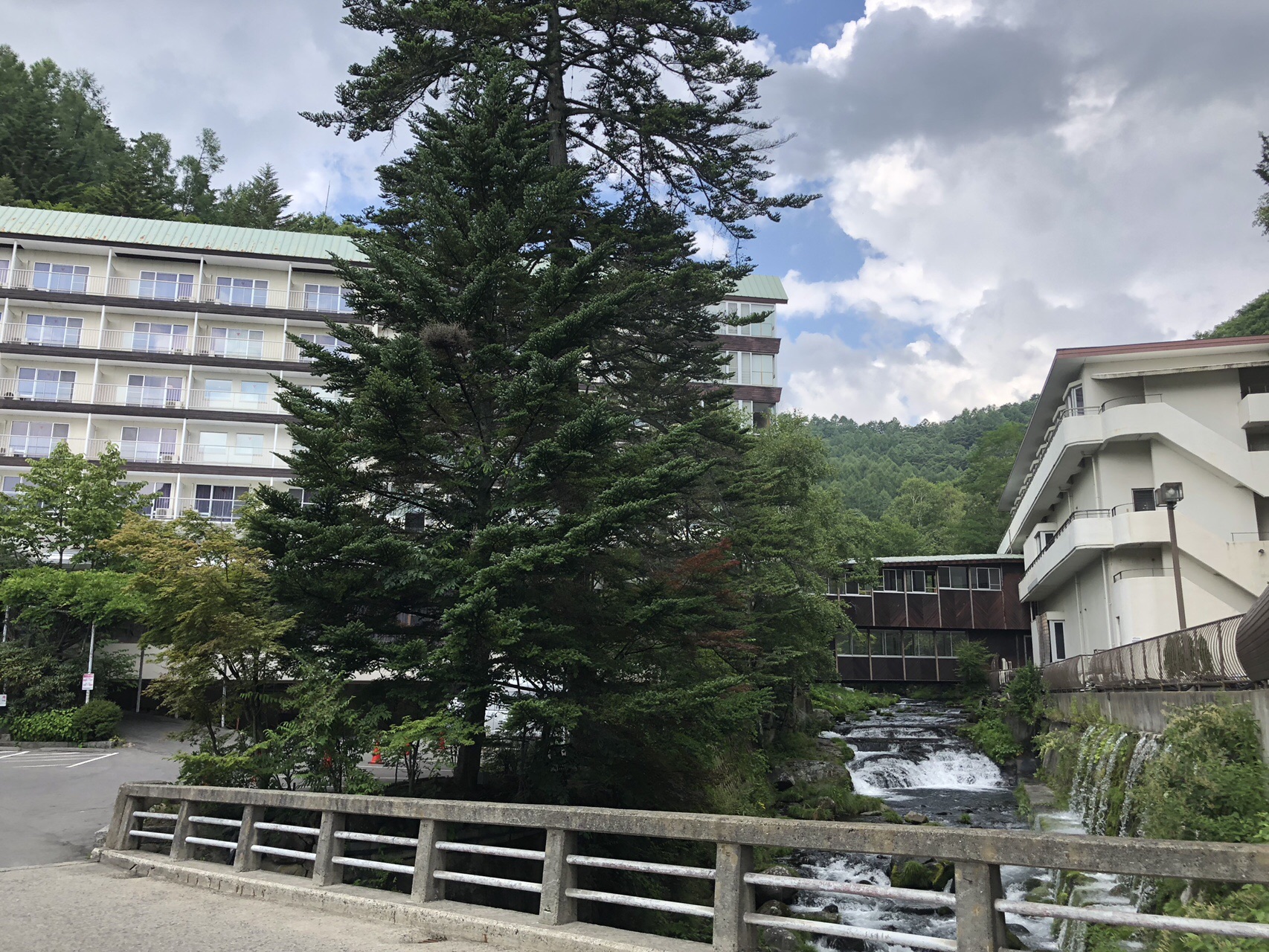 蓼科山 19 08 18 食べ過ぎ編 オムライスさんの蓼科山 横岳 縞枯山の活動データ Yamap ヤマップ