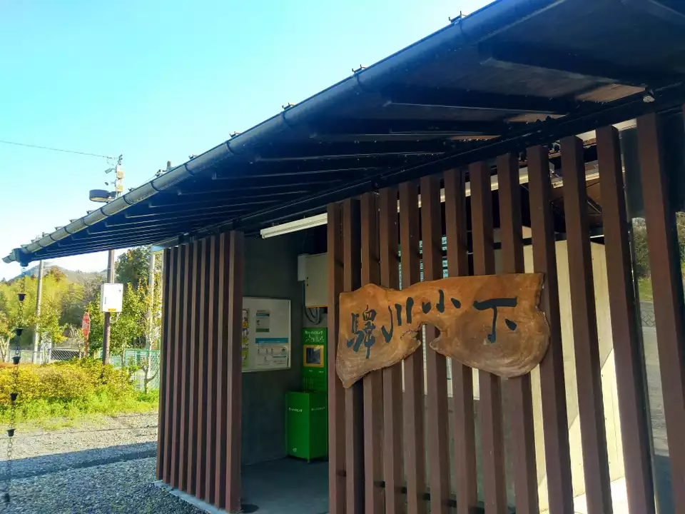 春の花を求めて🌼 盛金富士・熊野山・上高塚山 / totoさんの奥 春の花を求めて🌼 盛金富士・熊野山・上高塚山 / totoさんの奥