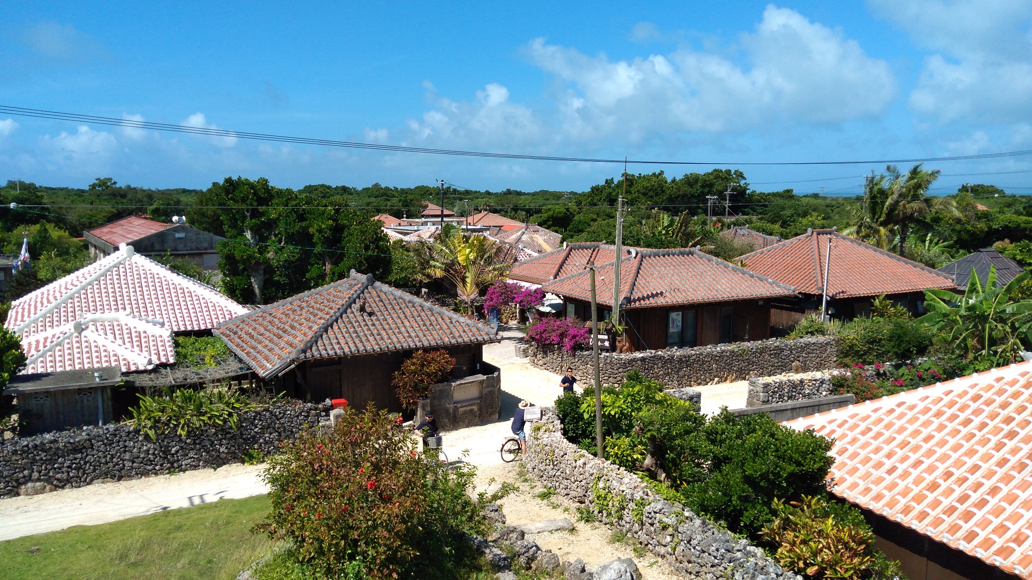 竹富島「重要伝統的建造物群保存地区」炎天下お勉強10kmウォーク