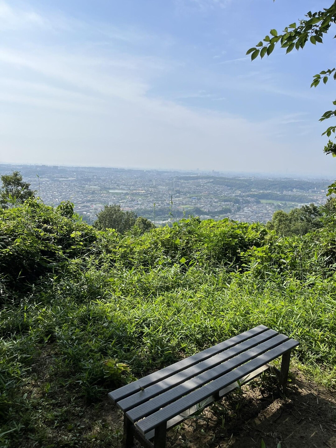 富田林市最高峰⛰金胎寺山 / しんさんの葛城修験エリアマップ（金剛山周辺）の活動データ YAMAP / ヤマップ