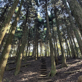 江川岳プチ周回
振り返る道筋…👀