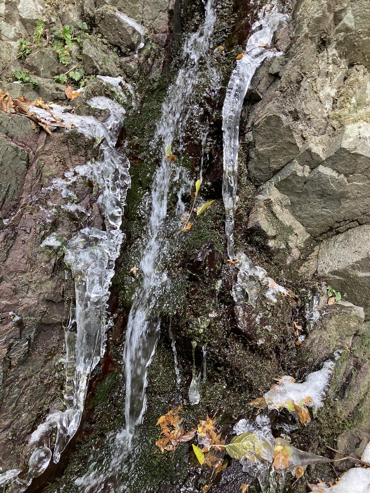 金剛山 一ノ岳 二ノ岳 三ノ岳 尺岳 赤松台 福智山 赤牟田の辻 焼立山 山犬の峠 牛斬山 鷹巣山 Hanamamさんの福智山 尺岳 雲取山の活動データ Yamap ヤマップ