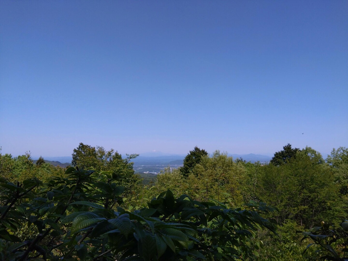 弥勒山 / Yamasukeさんの春日井三山・弥勒山・大谷山・道樹山の活動データ YAMAP / ヤマップ
