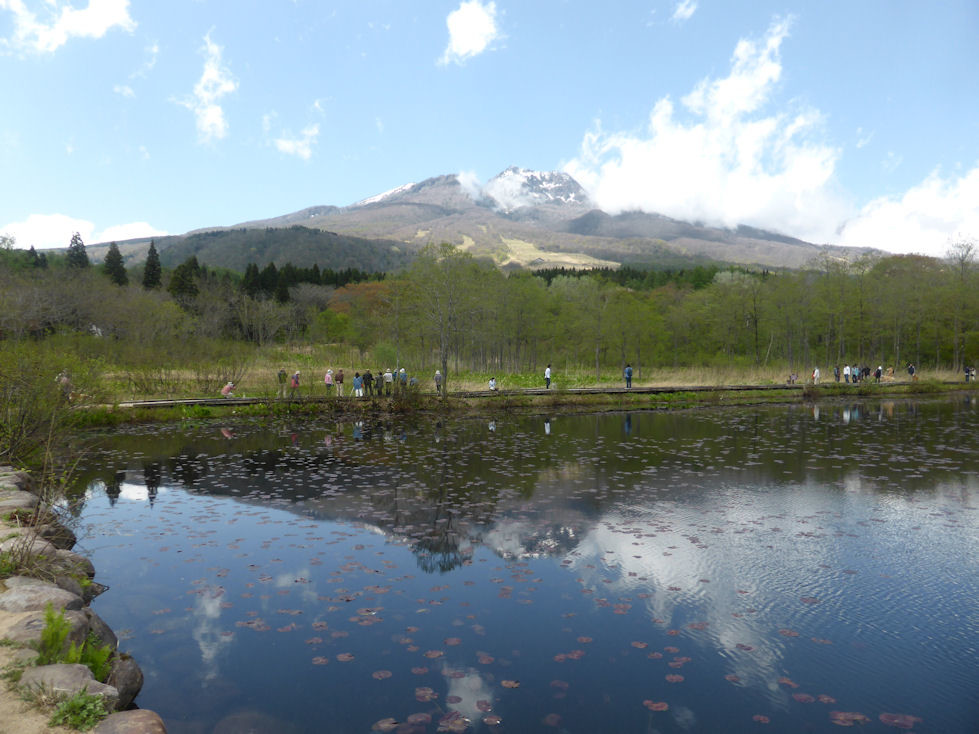 いもり池の水芭蕉といもり池から見た妙高山 黒姫山 なかむらさんの黒姫山 長野県 の活動データ Yamap ヤマップ