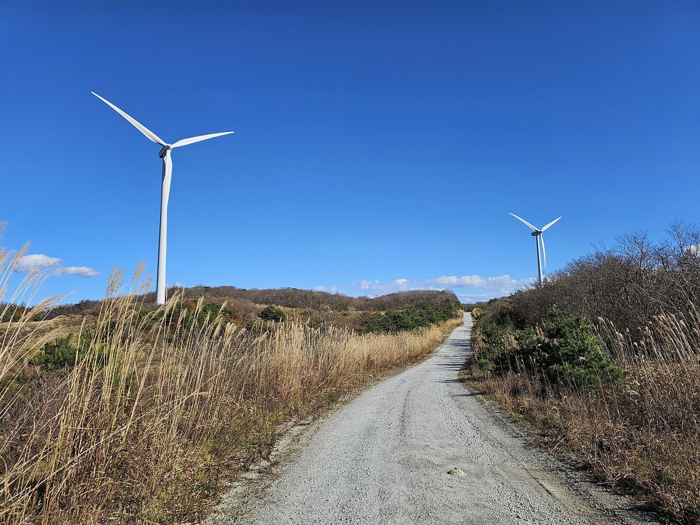 万太郎山 / ナカコウさんの矢大臣山・鬼ヶ城山の活動データ YAMAP / ヤマップ
