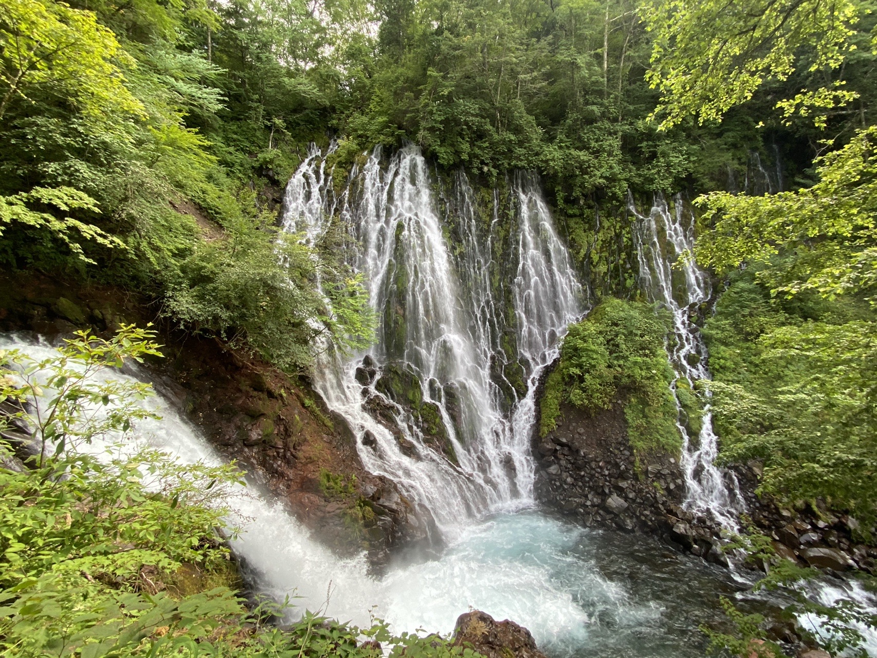 乗鞍山麓五色ヶ原の森 08 14 みいさんの乗鞍岳の活動データ Yamap ヤマップ