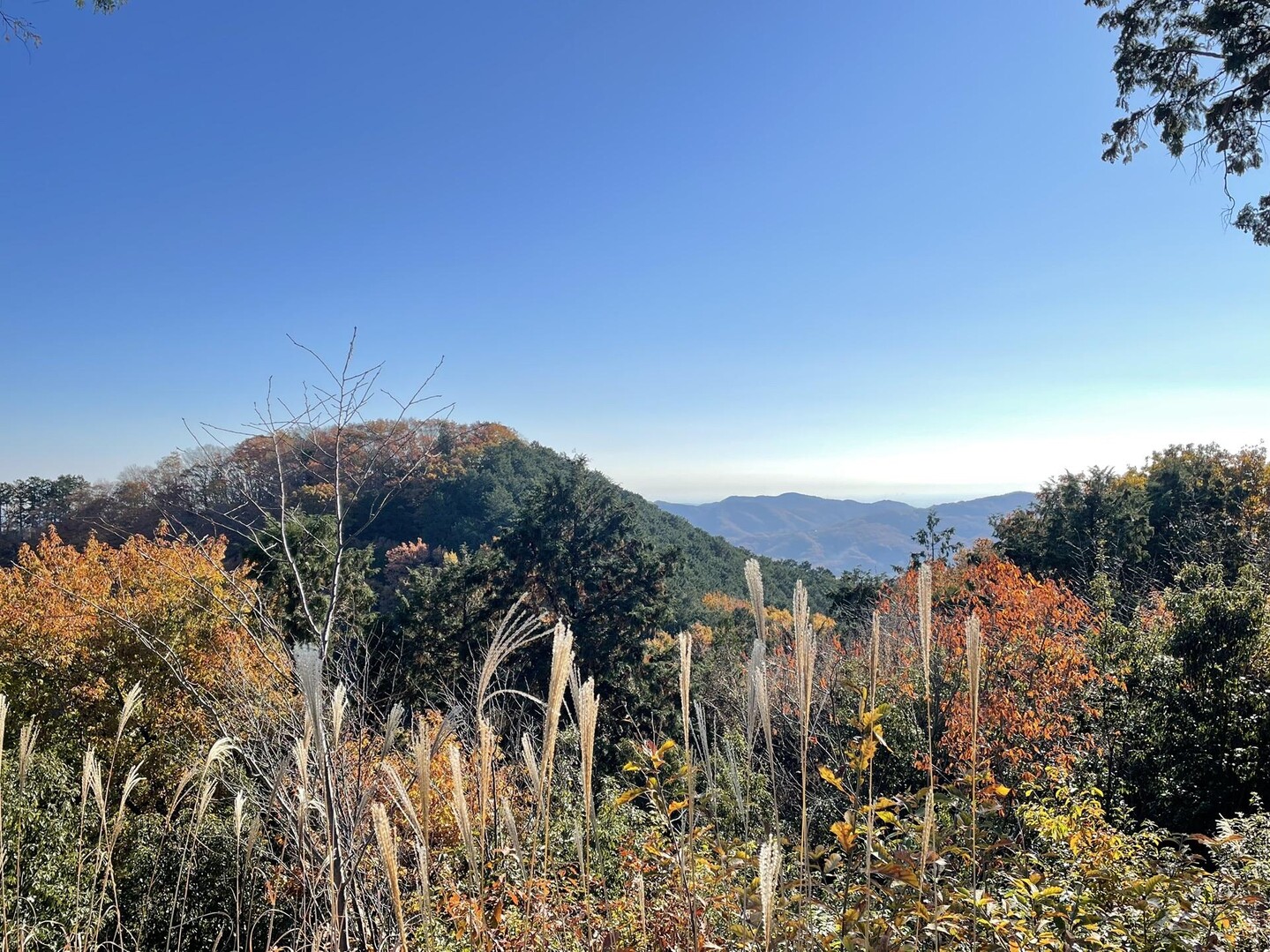 官ノ倉山・石尊山 / やまぴーさんの官ノ倉山の活動データ | YAMAP / ヤマップ