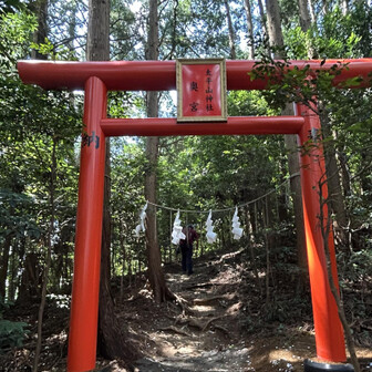 今年の7月に建てられたばかりの⛩️