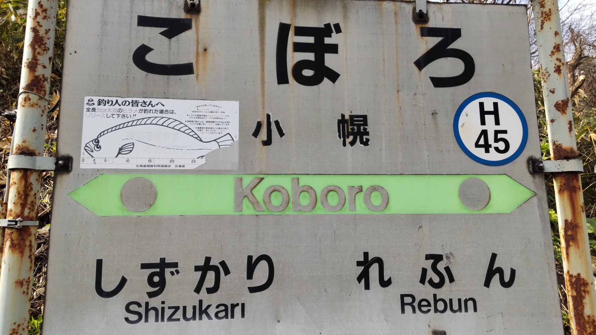 小幌洞窟と小幌駅 2022-05-06 / shironekoさんの礼文華峠の活動データ | YAMAP / ヤマップ
