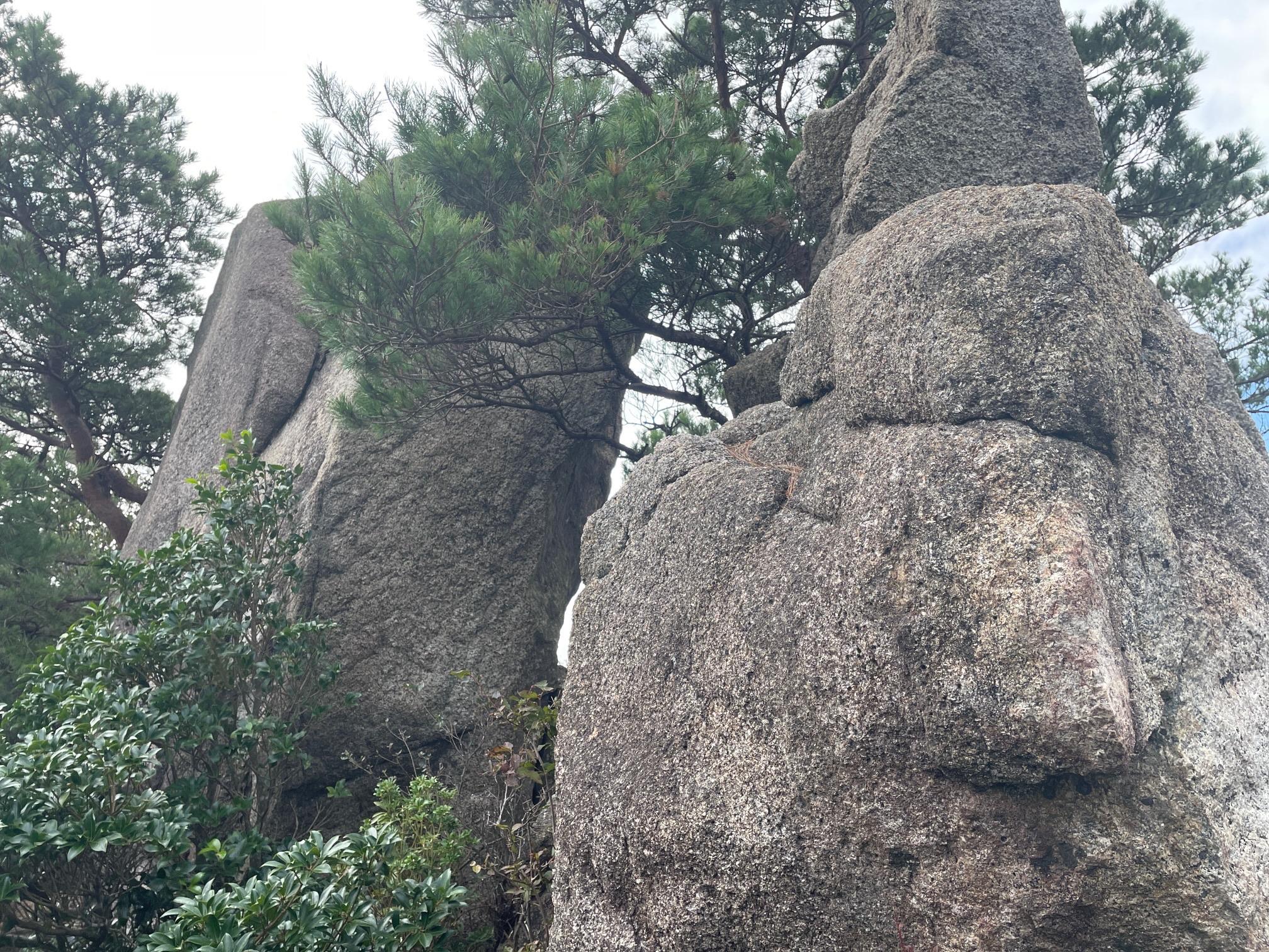 鬼ヶ牙・長坂の頭・大岩・船石・ベンケイ・臼杵ヶ岳・臼杵山 / しんちゃんさんの入道ヶ岳・鎌ヶ岳・仙ヶ岳の活動データ YAMAP / ヤマップ