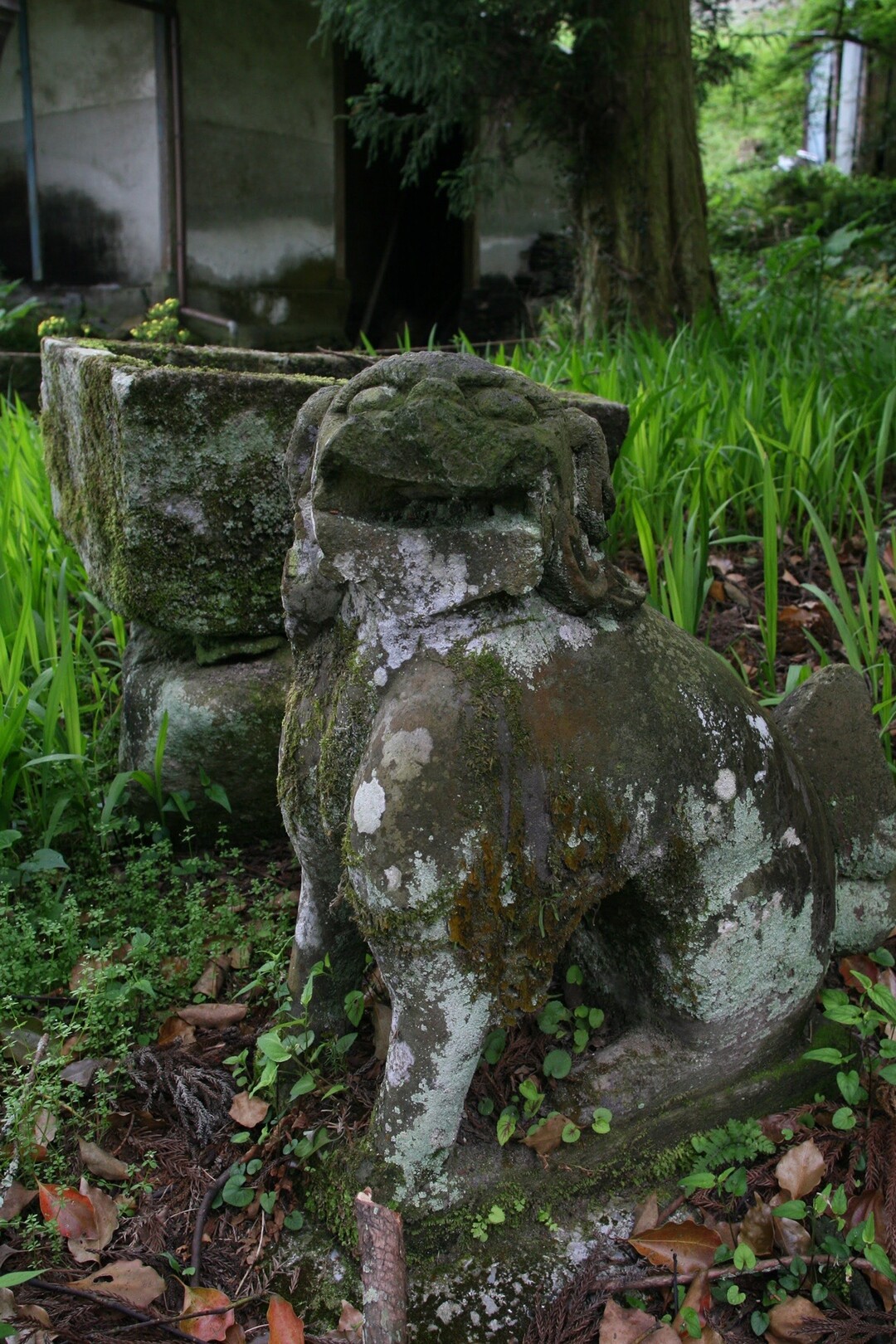 国東に男前 変顔 ちくび にこだわる仁王像が存在する やすさんの六郷満山 国東半島 の活動日記 Yamap ヤマップ