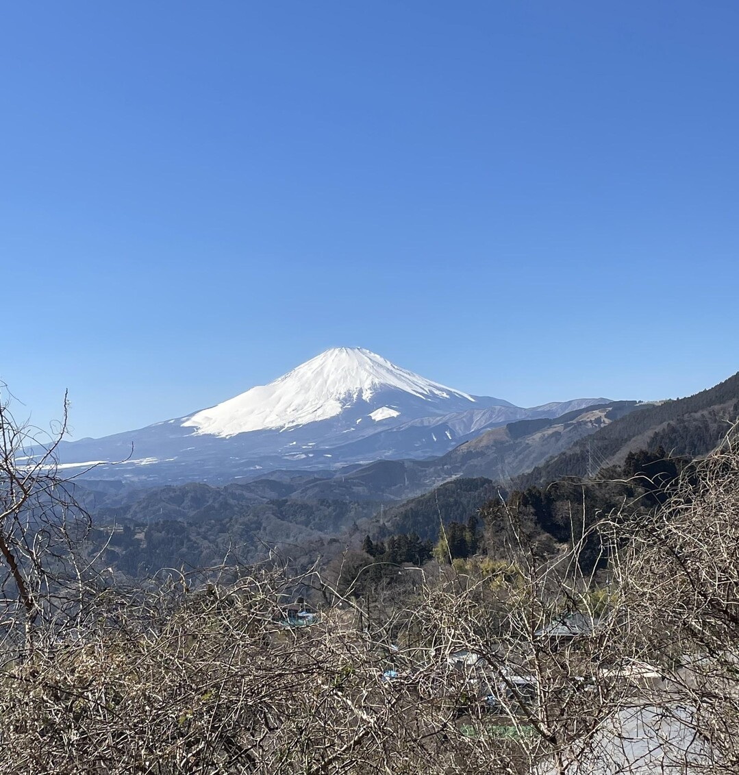 高松山・松田山と松田さくら祭り / エバミンさんの高松山・大野山の活動データ YAMAP / ヤマップ