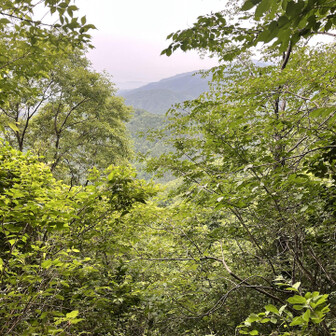 見えるかなシリーズでここから祐泉寺尾根ルートの岩場と旗振りました。
