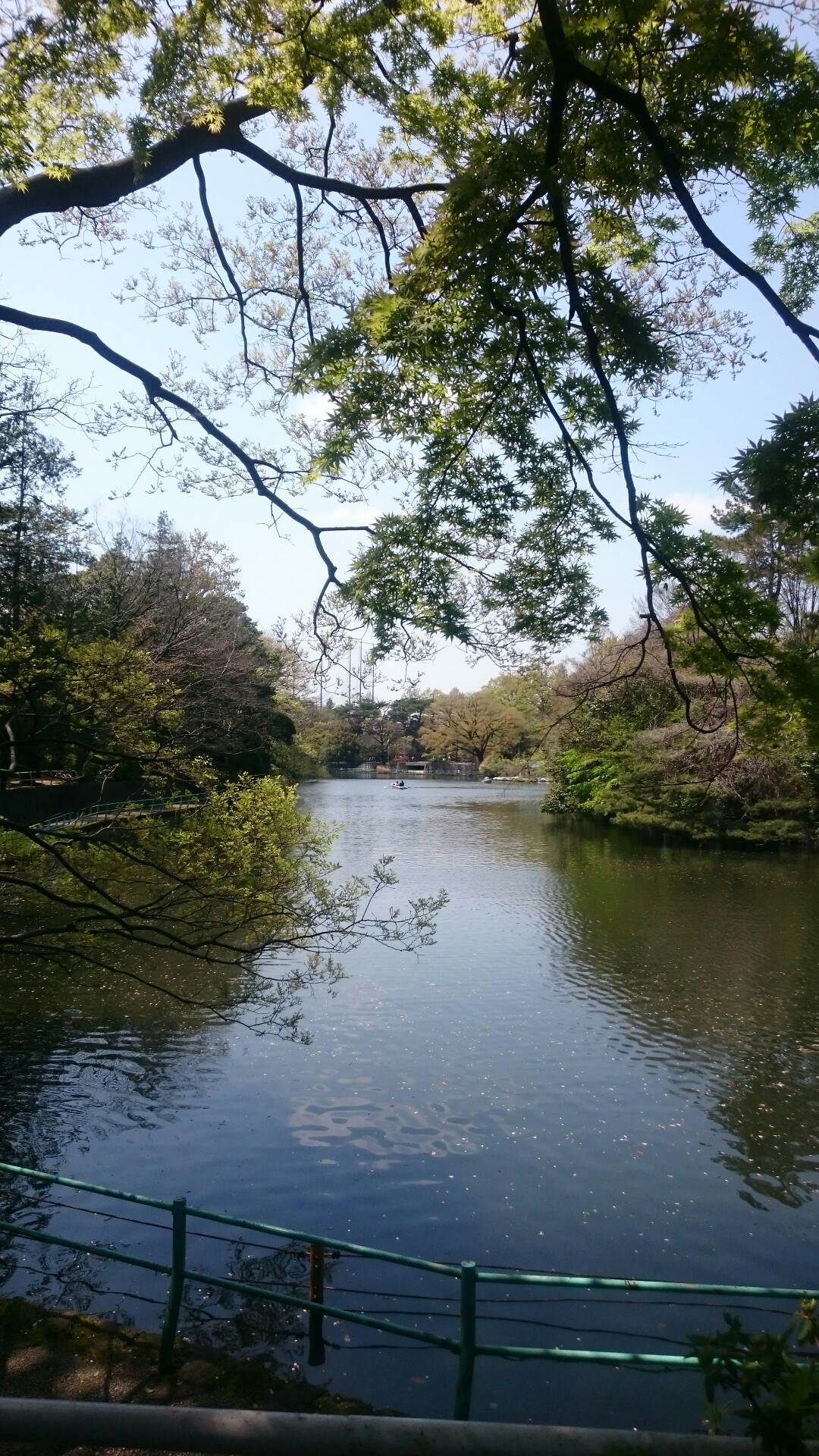 在宅勤務 昼休みウォーキング Takashiさんの東京都23区 西エリアの活動データ Yamap ヤマップ