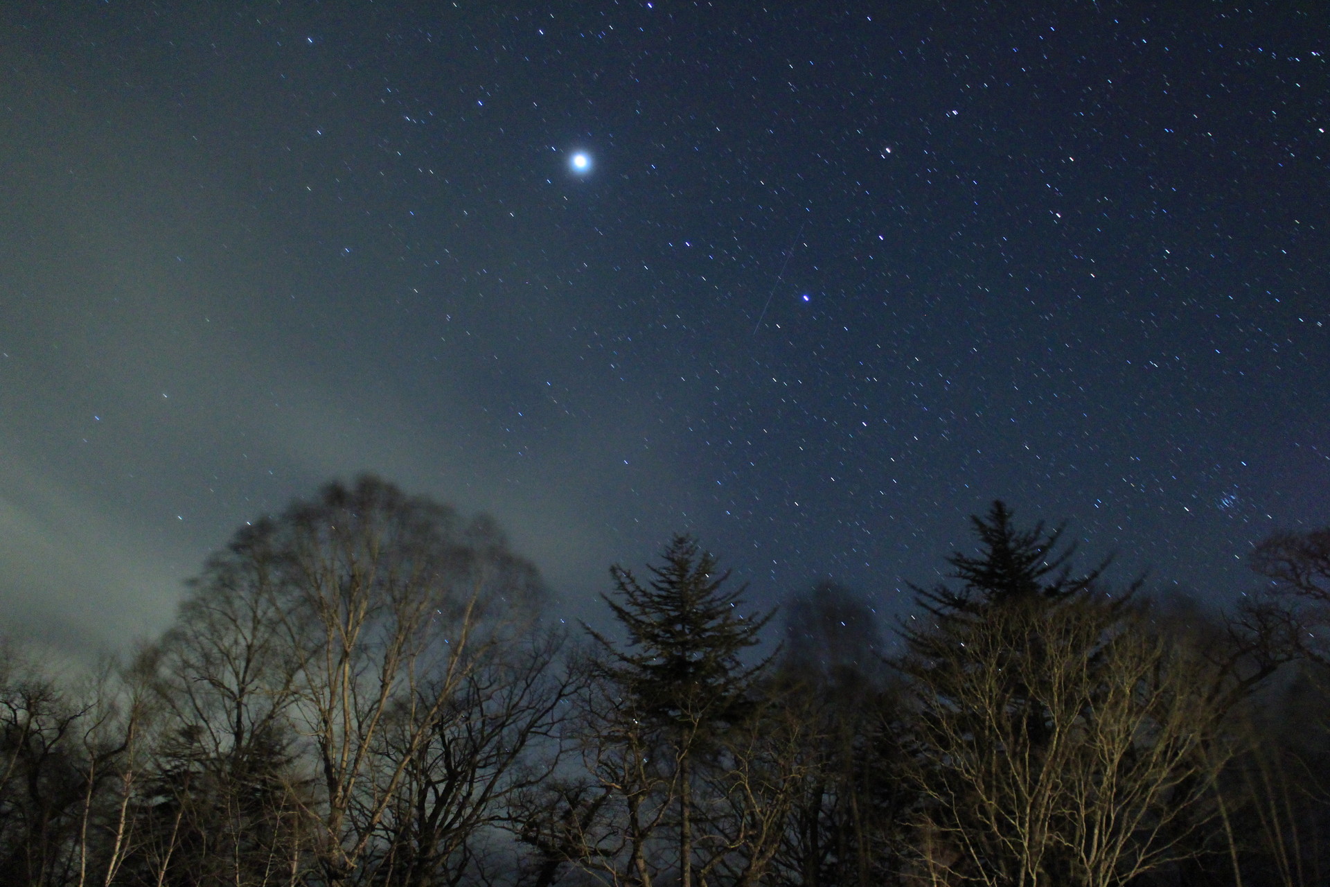 星空を求めて水芭蕉の咲く尾瀬へ Kiyoさんの尾瀬 燧ヶ岳の活動データ Yamap ヤマップ