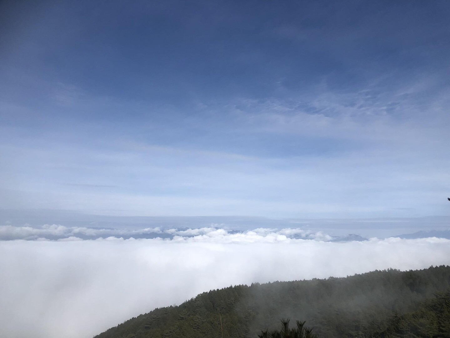 保古山、保古ノ湖、根ノ上湖周遊 / ポニーさんの保古山の活動データ YAMAP / ヤマップ