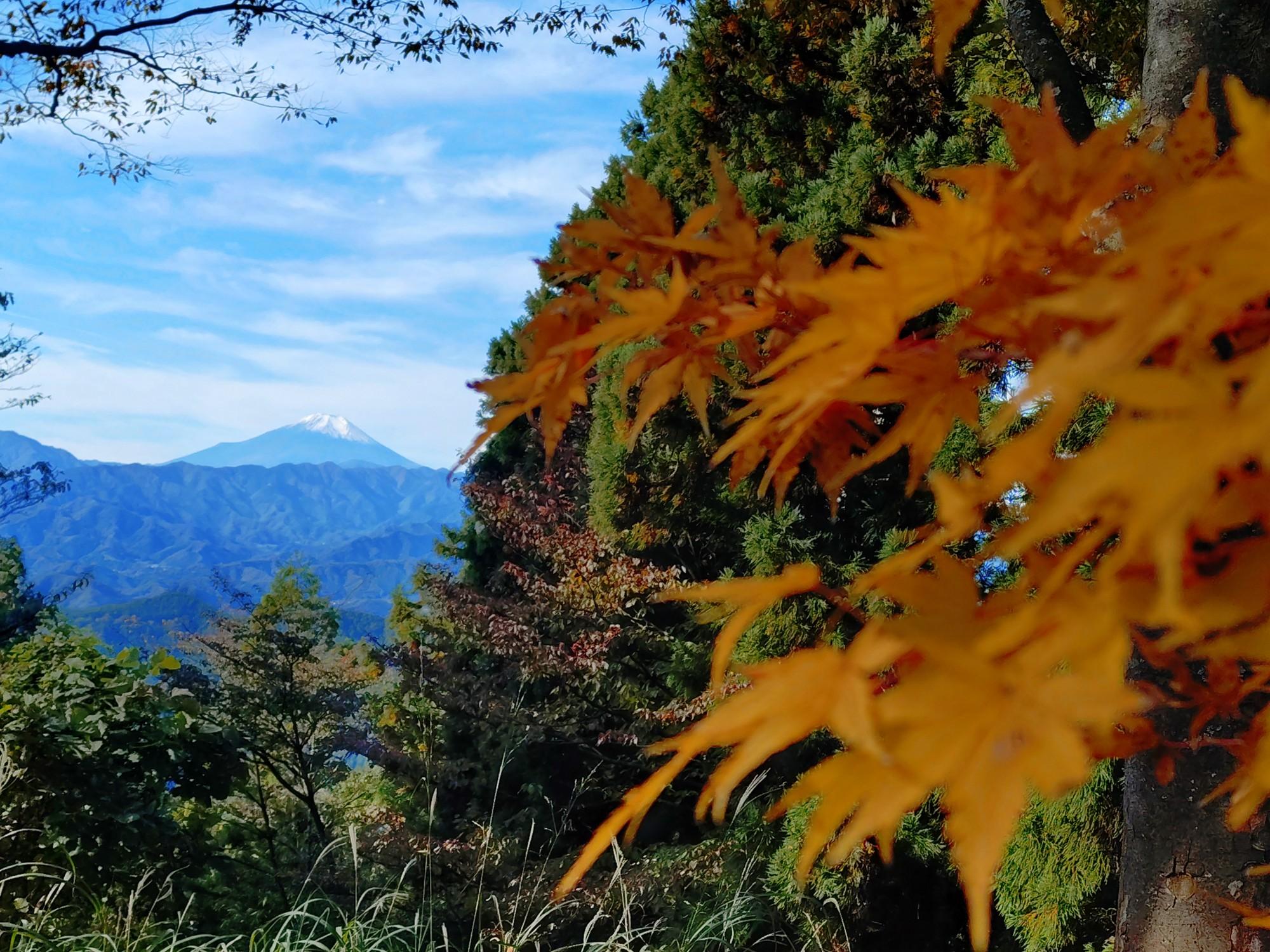 草と山 草戸山 (くさとやま)：364m - 山と溪谷オンライン
