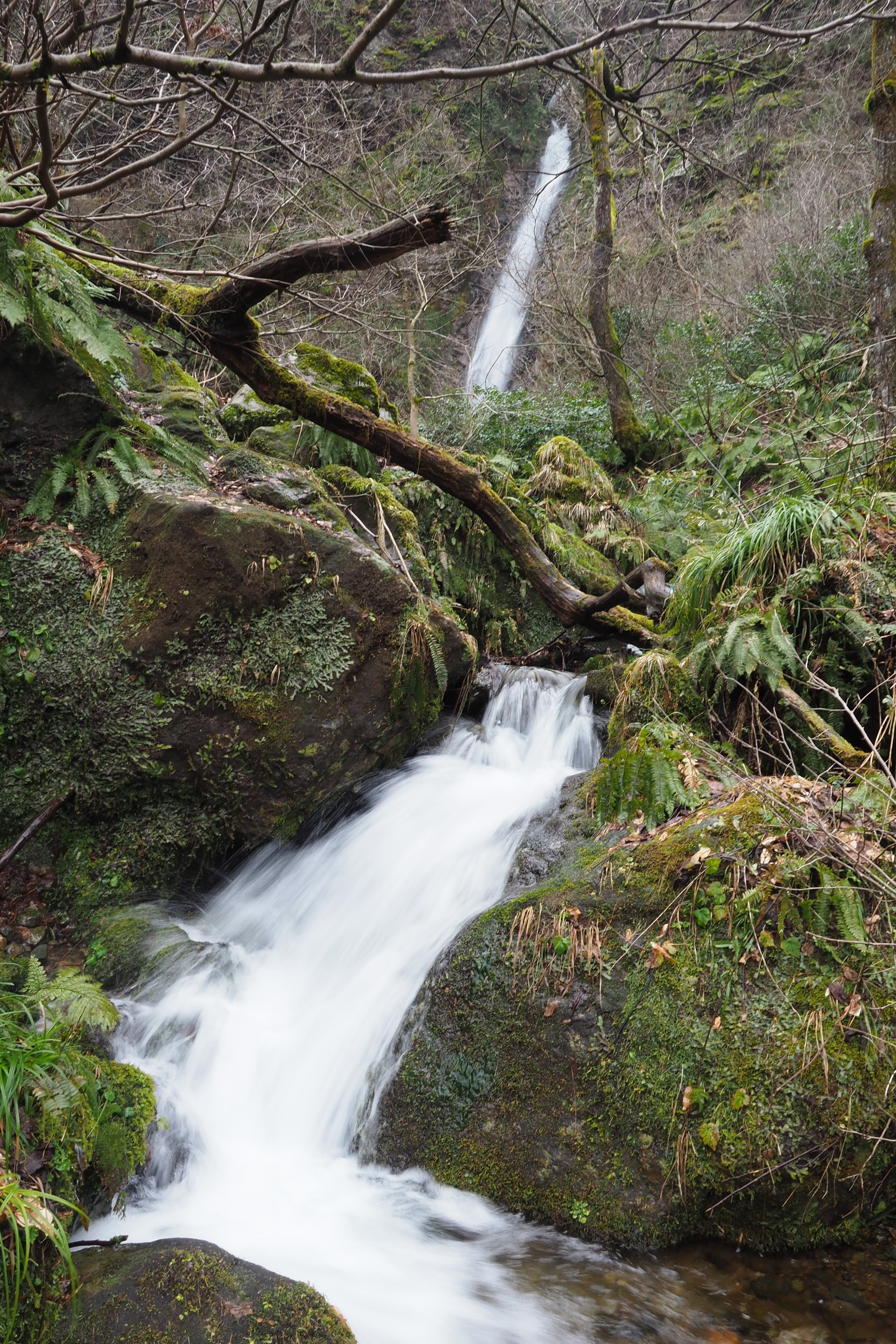 木六山・銀次郎山 視後平の滝