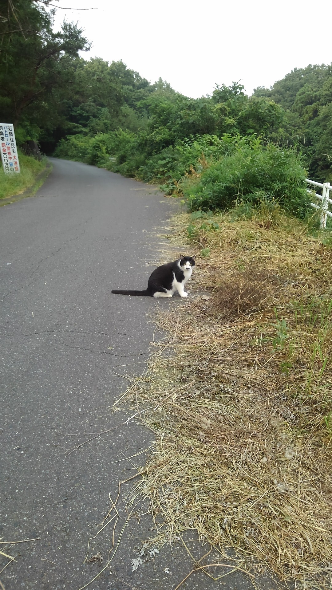 サイクリングして来ました キリヤさんの武蔵嵐山 大平山 仙元山の活動データ Yamap ヤマップ