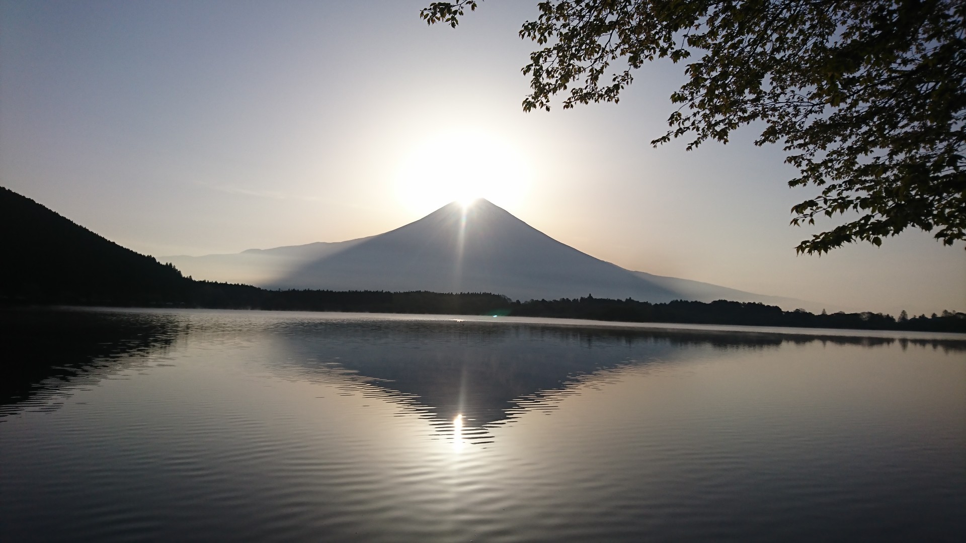 ダブルダイヤモンド富士 遠征2day さちごんさんの長者ヶ岳 天子ヶ岳の活動データ Yamap ヤマップ