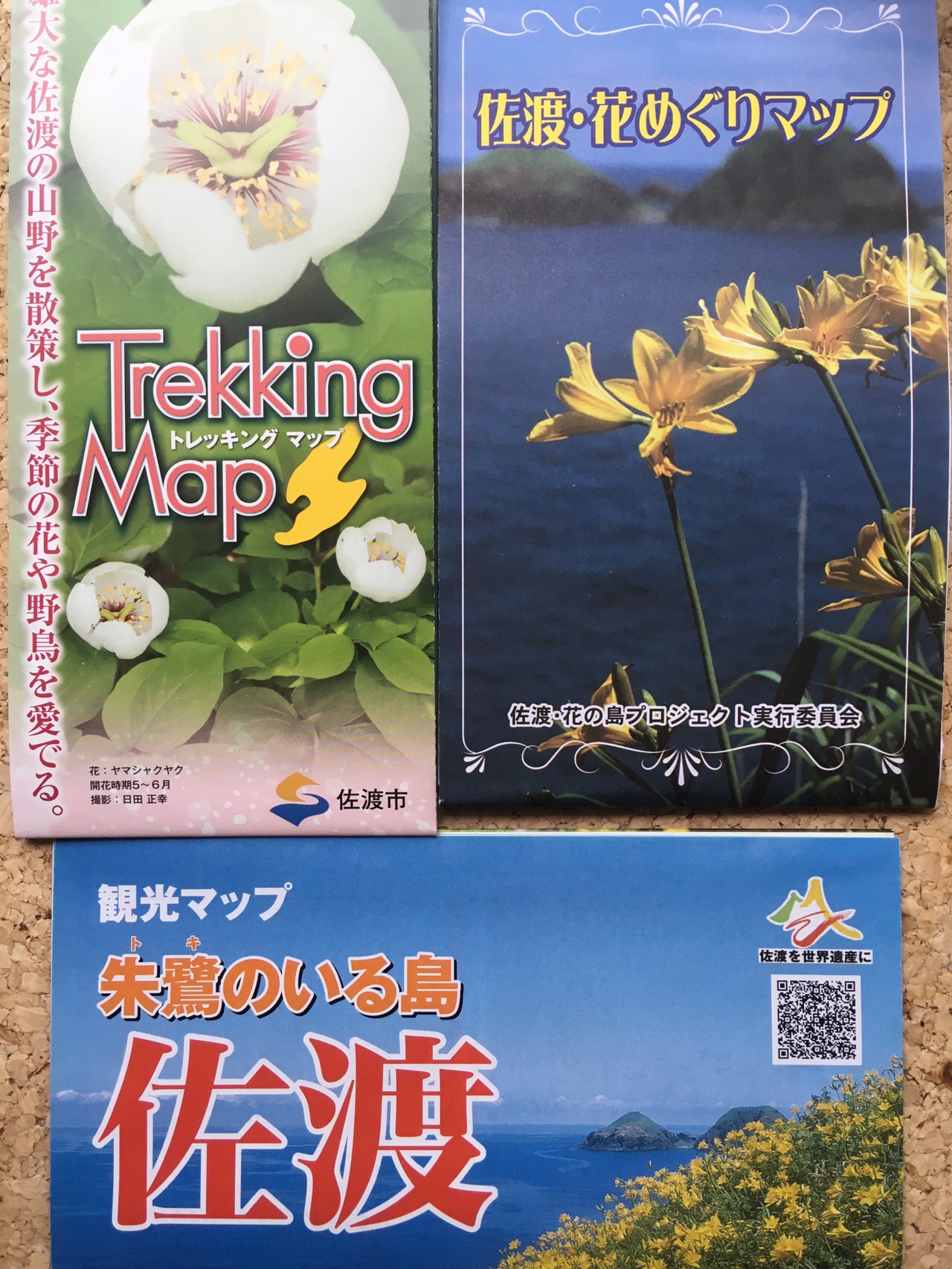 佐渡ヶ島 花の島佐渡 アオネバ登山口からドンデン山 お花畑街道へ 19 05 02 かま127さんの佐渡島の活動日記 Yamap ヤマップ