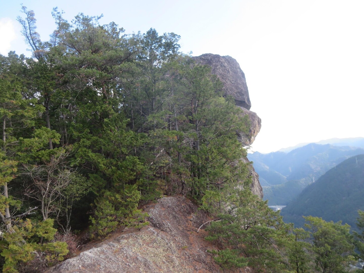 上臈岩・百畳岩 獅子岩を通って / 梅保鮎2さんの宇連山・鳳来寺山・岩古谷山の活動データ YAMAP / ヤマップ