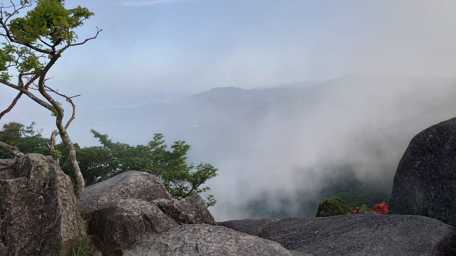 コロナの夜明けを願って 宝満山 愛嶽山 中村主水さんの宝満山 三郡山 若杉山の活動日記 Yamap ヤマップ