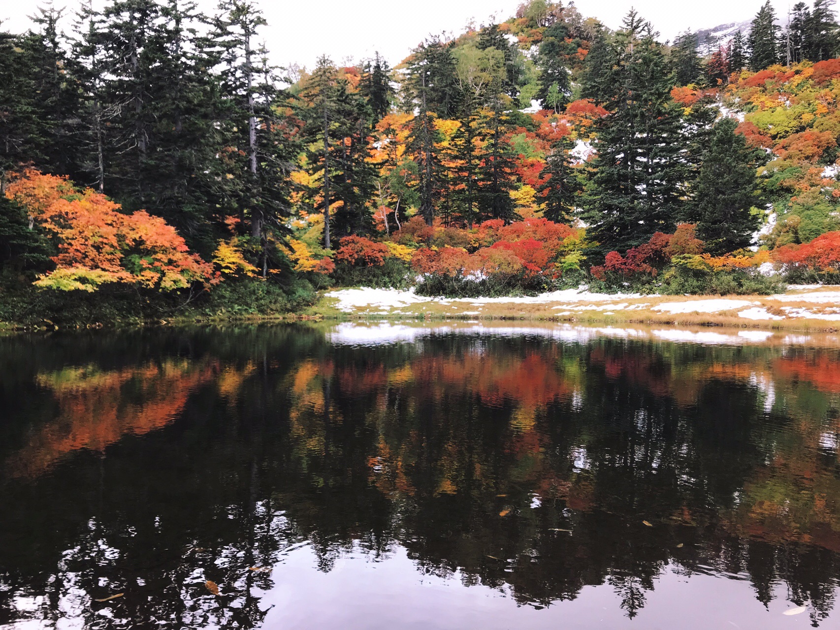 大雪高原温泉沼巡り 19 09 22 Kaoru555さんの大雪山系 旭岳 トムラウシの活動データ Yamap ヤマップ
