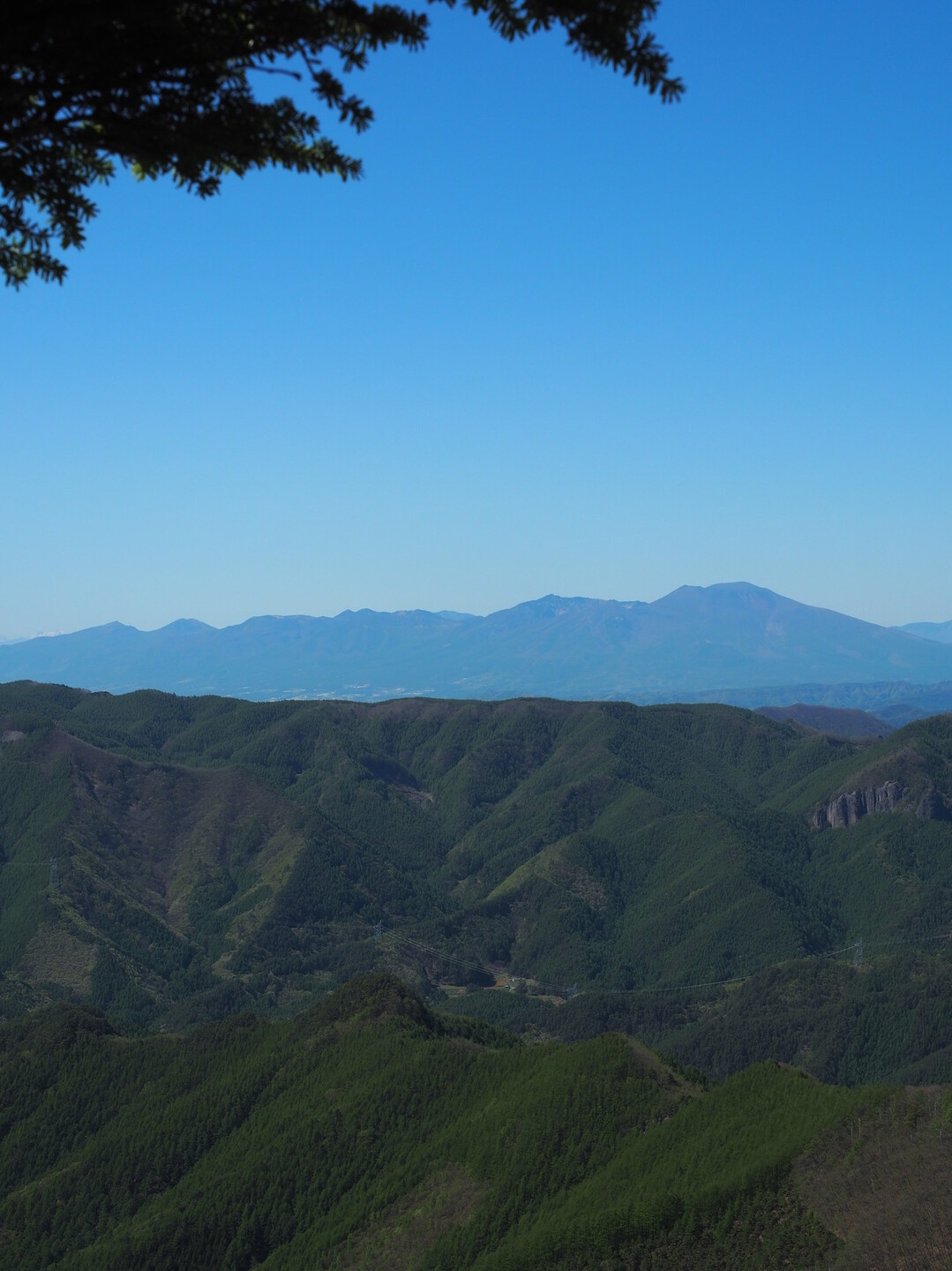 新緑の御座山 白岩コース 御座山の写真61枚目 Yamap ヤマップ