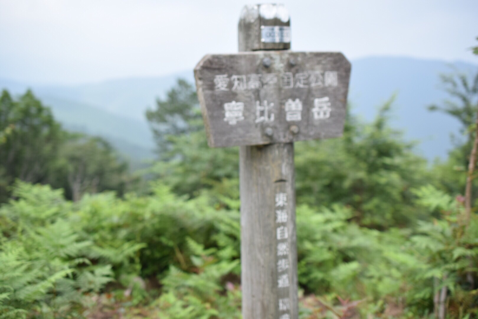 まそたんとの出会いの寧比曽岳 19 08 03 Rum4koさんの寧比曽岳 筈ヶ岳 出来山の活動日記 Yamap ヤマップ