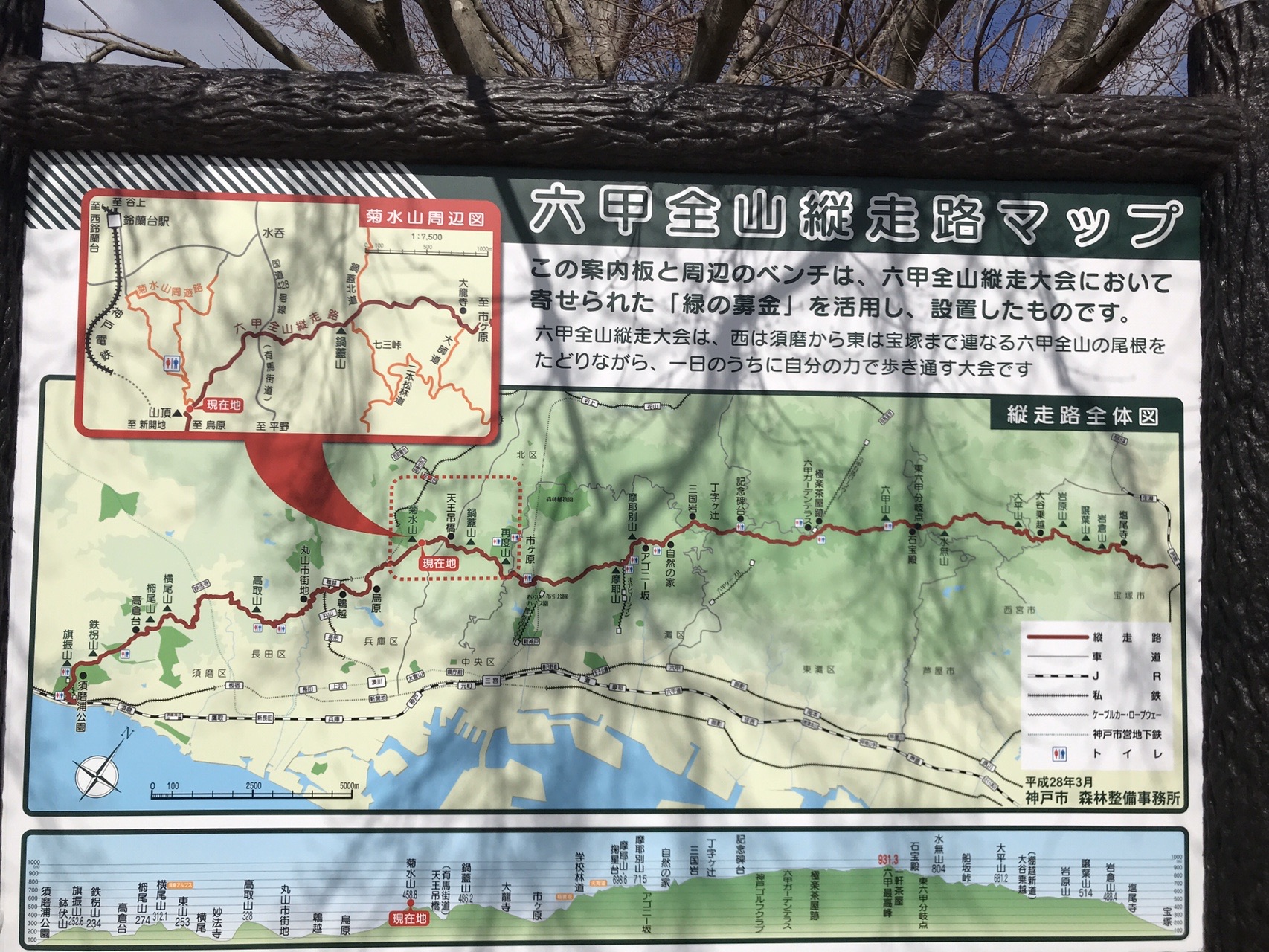 山と高原地図を調査する やぶいぬさんの六甲山 長峰山 摩耶山の活動データ Yamap ヤマップ