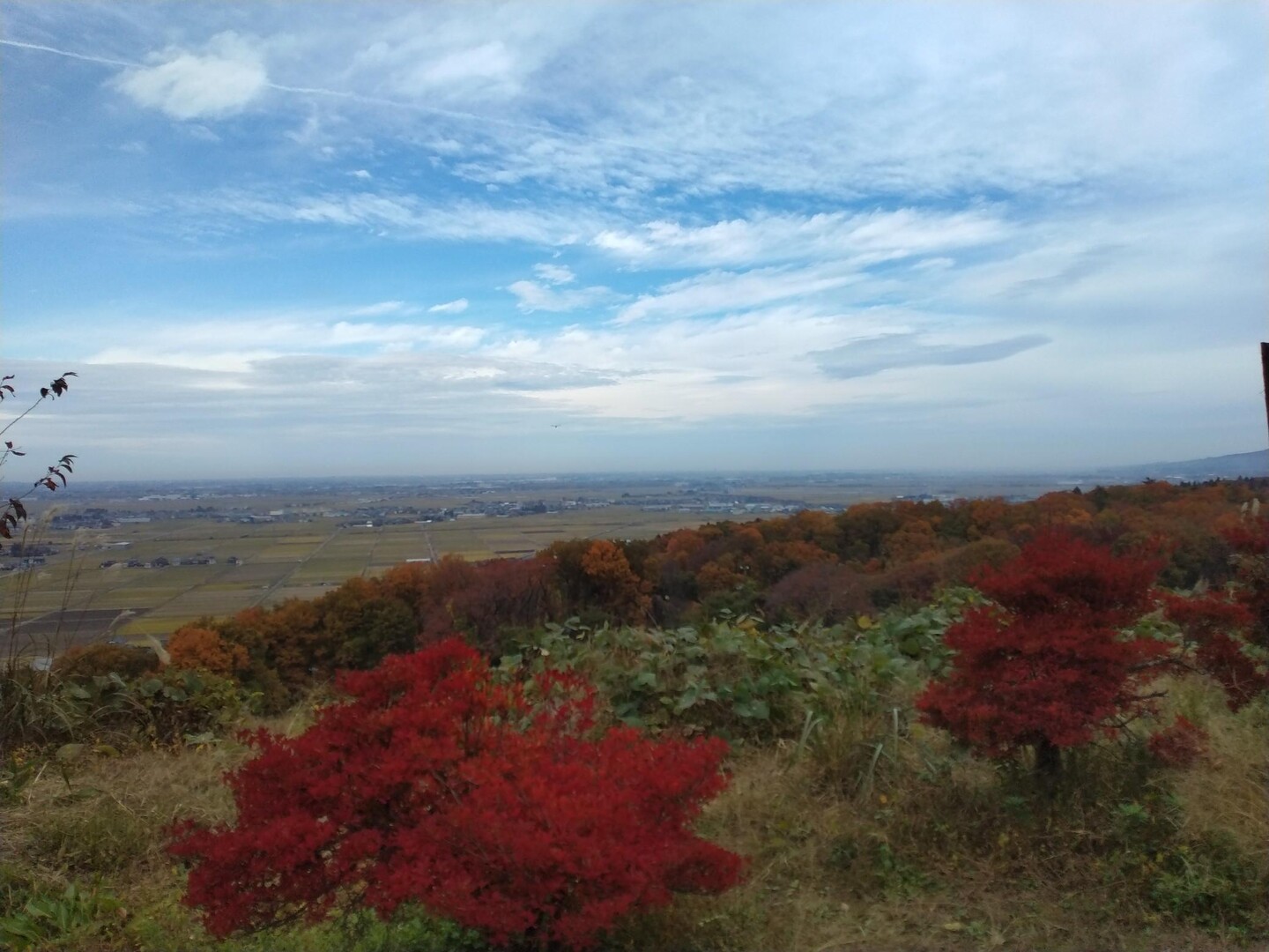 近場散歩 永明寺山 2022/11/13 / まぁさんの三条市の活動データ YAMAP / ヤマップ