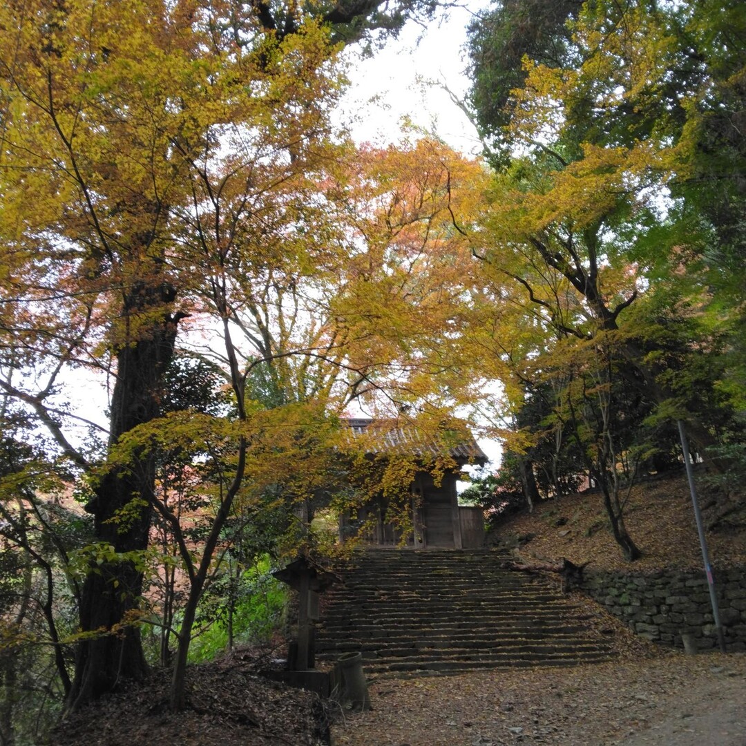 高良山・吉見岳 / メリ－とミ－コさんの高良山・発心山・鷹取山の活動データ YAMAP / ヤマップ