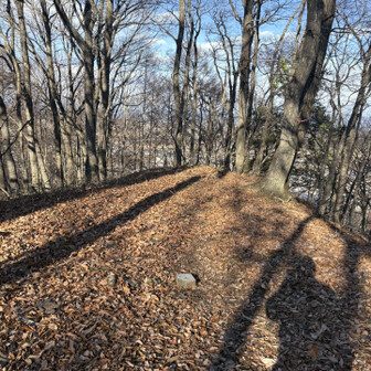 中山道（小田井宿・塩名田宿・八幡宿・望月宿・芦田宿） 胡桃沢嶺砦（望月城支城）
崖にせり出た平場、三角点のみ