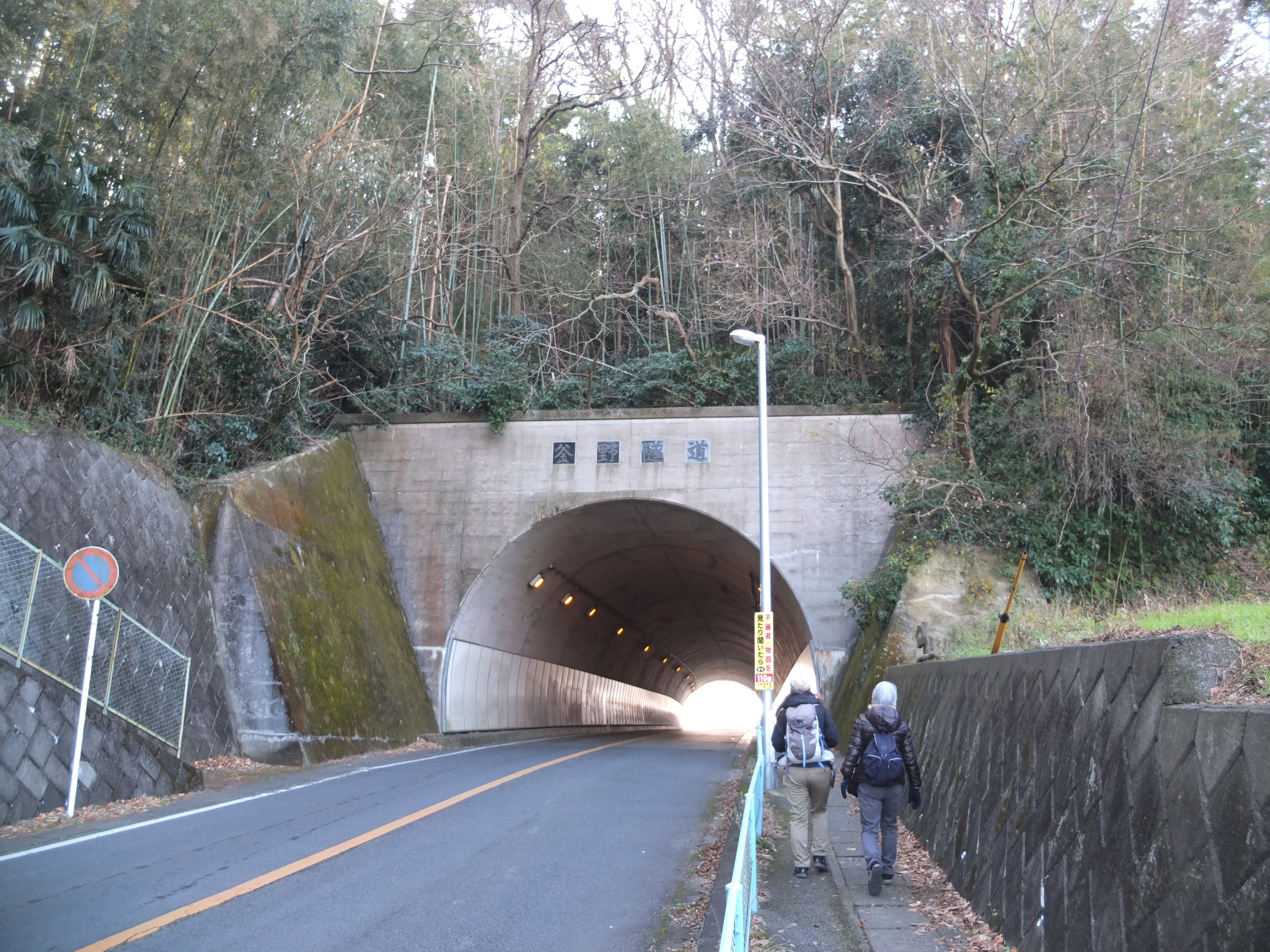 0113吾妻山公園 菜の花 釜野口 山頂園地 中里口 Hayakunさんの不動山 浅間山 曽我山の活動データ Yamap ヤマップ
