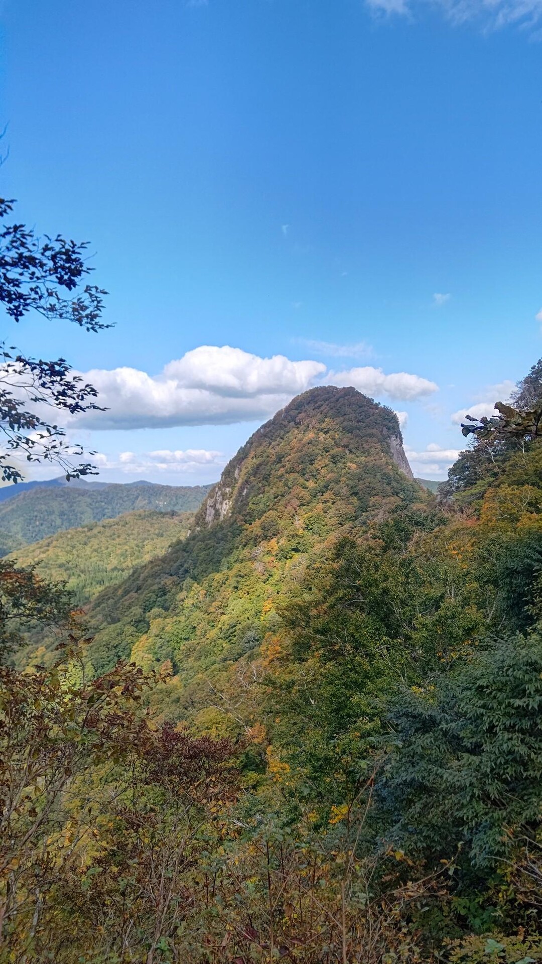 甑山縦走ツアー / ゆゆさんの甑山の活動データ YAMAP / ヤマップ