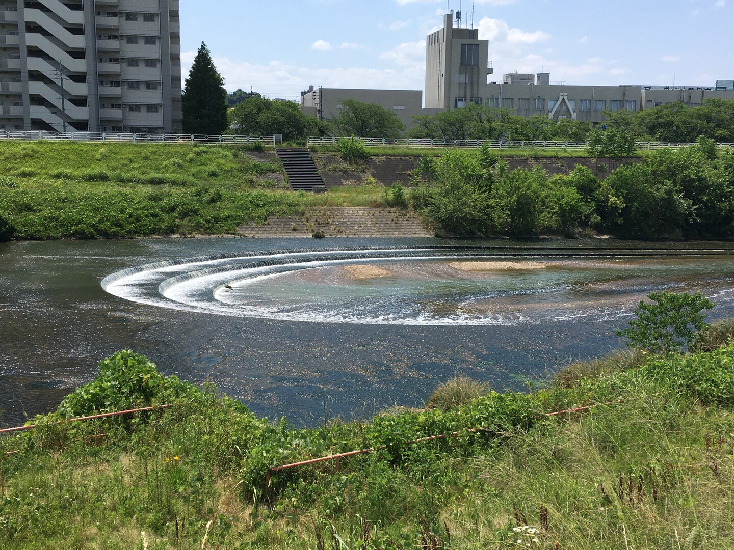 天白川@愛知県名古屋市 / えりっきさんの名古屋市の活動データ | YAMAP / ヤマップ