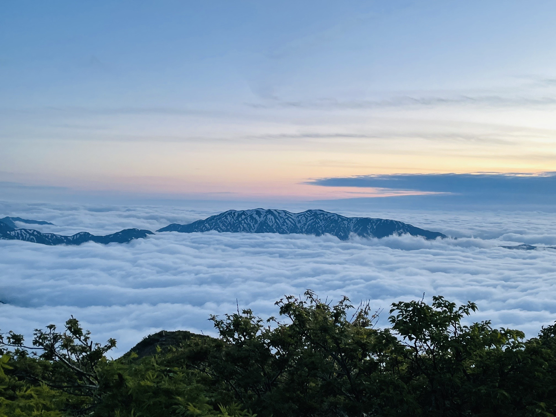 ひょっこりニノ✨