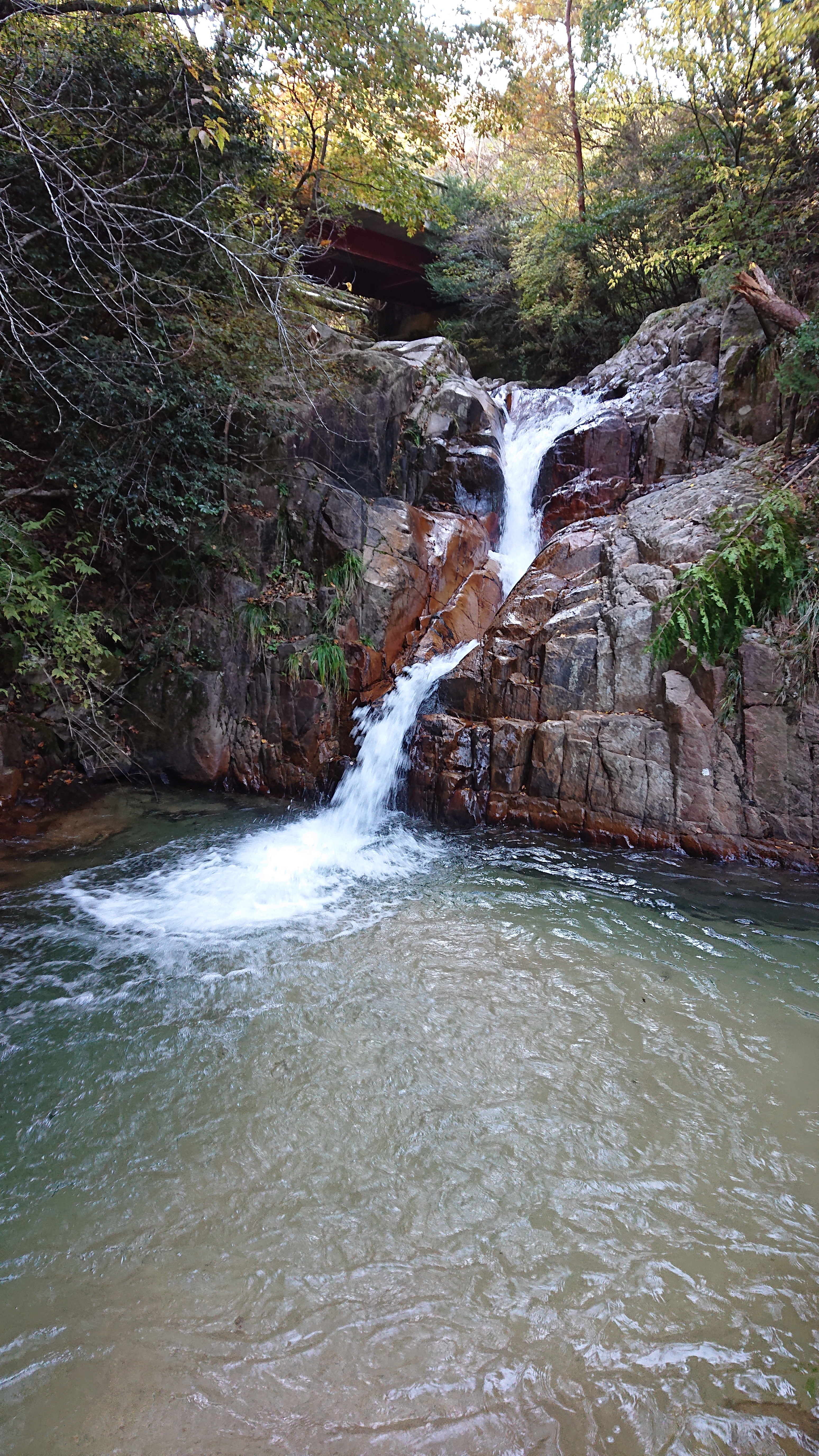 六甲山麓の旅第一弾 逢山峡 猪ノ鼻滝 仏谷 逢ケ山 19 11 16 くろちゃん さんの六甲山 長峰山 摩耶山の活動データ Yamap ヤマップ