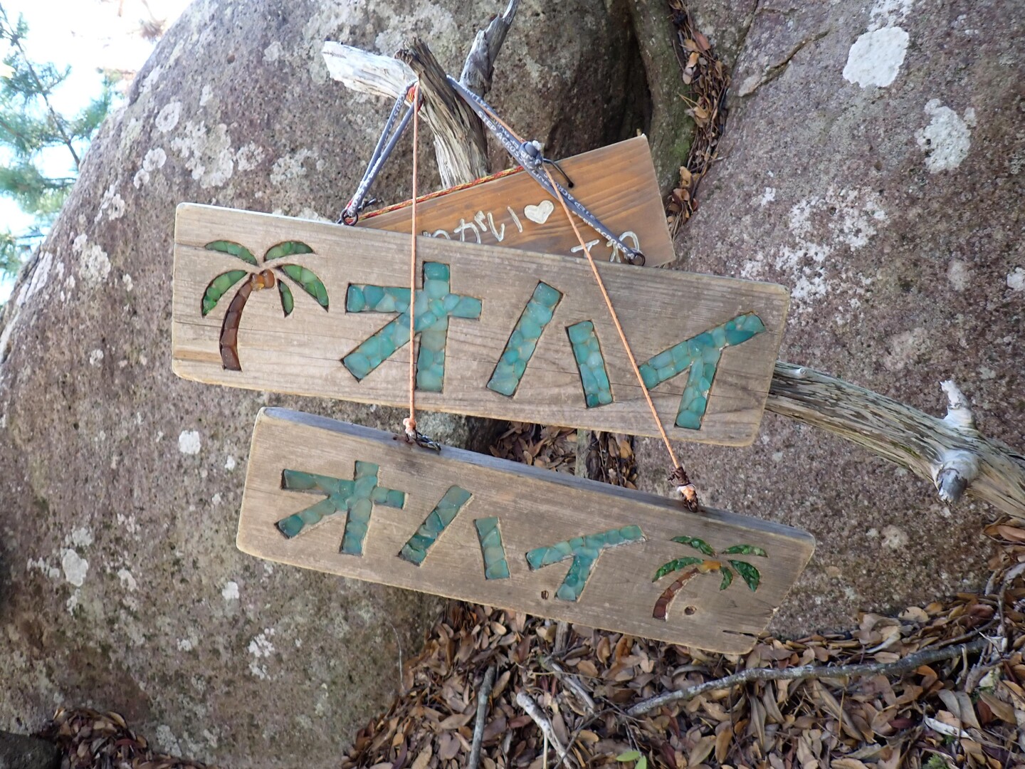 オハイ(大配)、頂山：初です / FlashLayer_さんの八鬼山・頂山・オハイの活動データ | YAMAP / ヤマップ